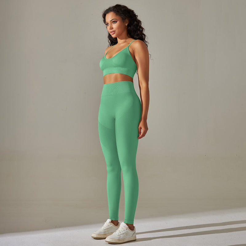 Seamless Solid Color Crop Tops High Waist Leggings Sports Suit Wholesale Womens Clothing