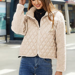 Zipper Long-Sleeve Plush Patchwork Cardigan Jackets & Coats Wholesale Womens Clothing N3823111600014