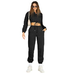 Solid Color Stand Collar Zipper Drawstring Fleece Sweatshirt And Sweatpants Set Wholesale Womens Clothing N3823103000040
