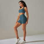 Seamless Knitted Sports Crop Tops Fitness Shorts Two-Piece Set Wholesale Womens Clothing