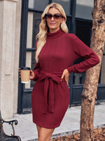 Casual Solid Colour Knitted High Neck Long Sleeve Dress Wholesale Dresses