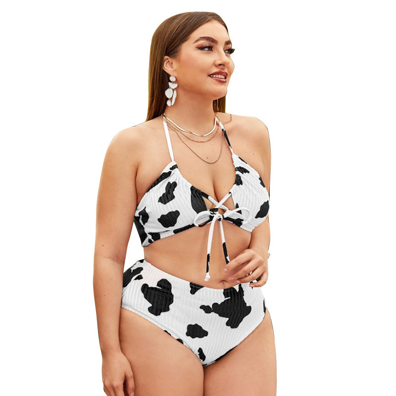 Cow Print Sexy Lacing Swimsuit Two Piece Sets Curve Bikini Backless Plus Size Swimwear Wholesale Vendors