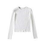 Long-Sleeved Round Neck Skinny Brushed Thick Solid Color Pullover Blouses Wholesale Women Top