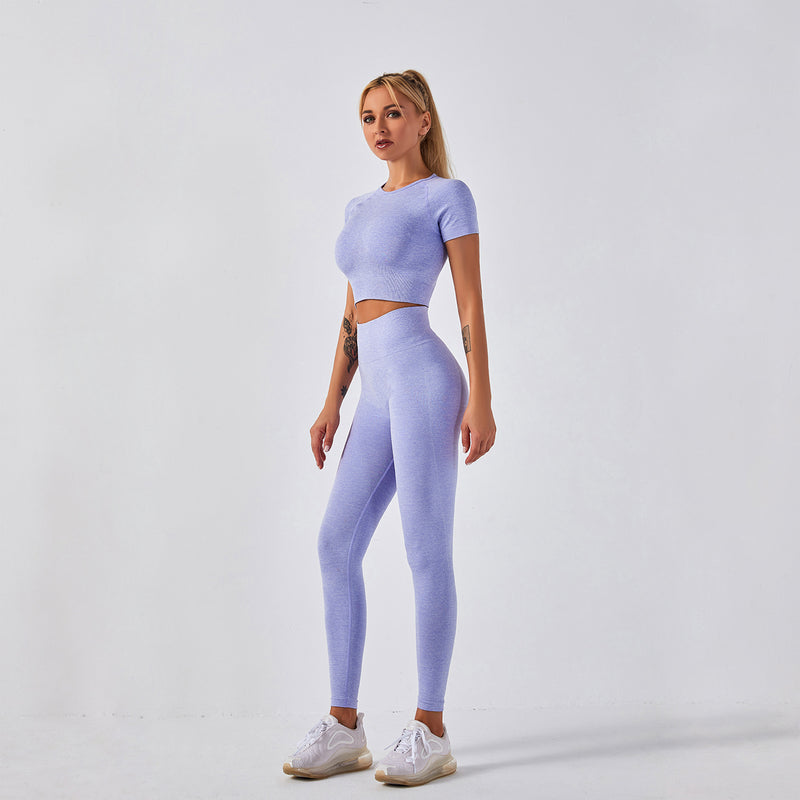 Wholesale Women Fitness Activewear Gym Seamless Yoga Two Piece Outfits