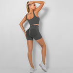 Knitted Sports Bra & Butt Lift Shorts Sports Fitness Seamless Yoga Suits Wholesale Activewear Sets