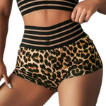 High Waist Leopard Print Slim Sports Running Hip Lifting Womens Workout Hot Pants Sexy Wholesale Yoga Shorts