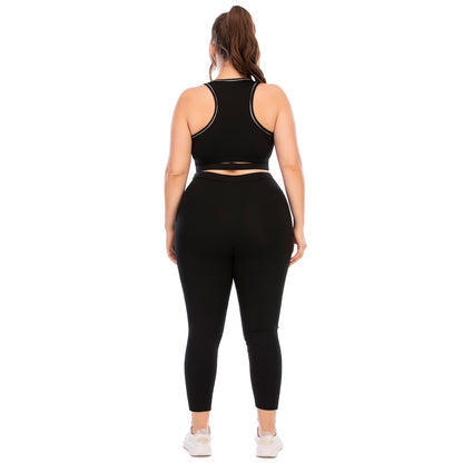 Sport Bra & Mesh Leggings Solid Color Curve Fitness Yoga Suits Plus Size Two Piece Sets Wholesale Activewears