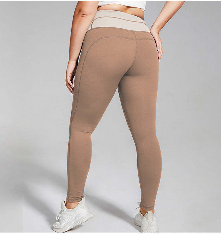 Colorblock High Waist Hip Lift Yoga Sport Leggings Wholesale Plus Size Clothing