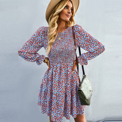 Casual Print Long Sleeve Round Neck A-Line Dress Wholesale Dresses