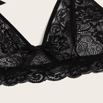 Lace Bra Sets Lingerie Plus Size Wholesale Solid Color Sexy See-Through