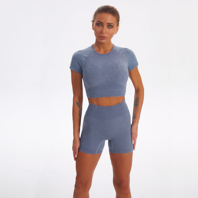 Seamless Sports Yoga Wholesale Activewear Fitness Clothing Short-Sleeved & Pant Sets