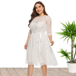 Women Curvy Lace Chiffon Swing Dresses Wholesale Plus Size Clothing