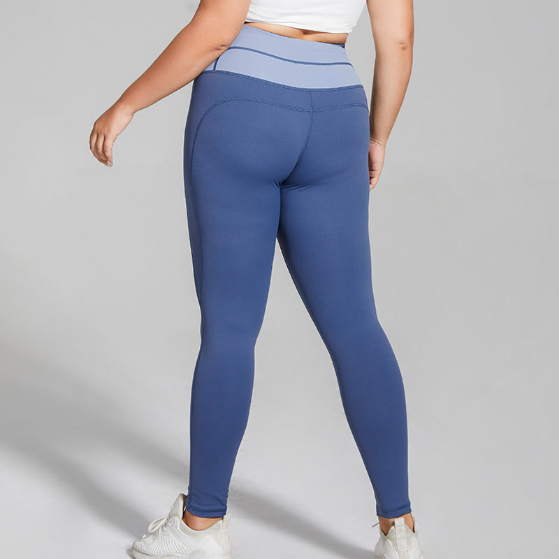 Colorblock High Waist Hip Lift Yoga Sport Leggings Wholesale Plus Size Clothing