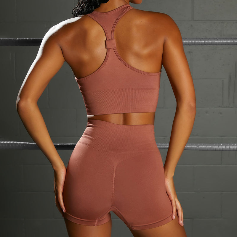 Athletic Vests & Shorts Seamless Yoga 2pcs Sets Wholesale Workout Clothes